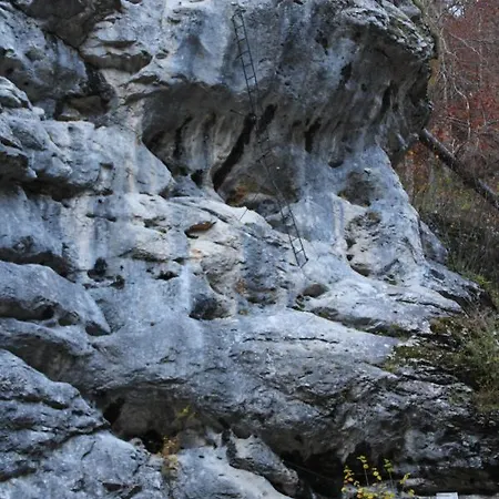 旅馆 Weichtalhaus